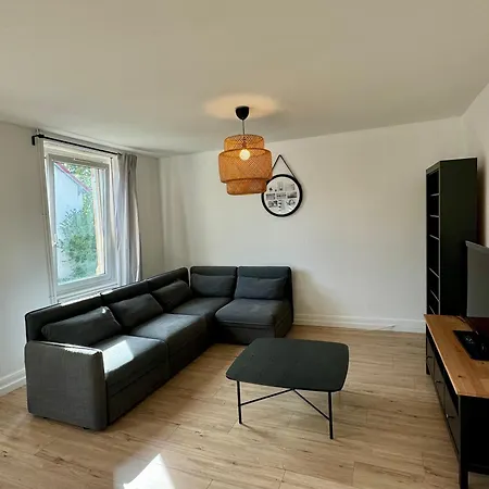 Charmant Appartement Mulhouse Daire *